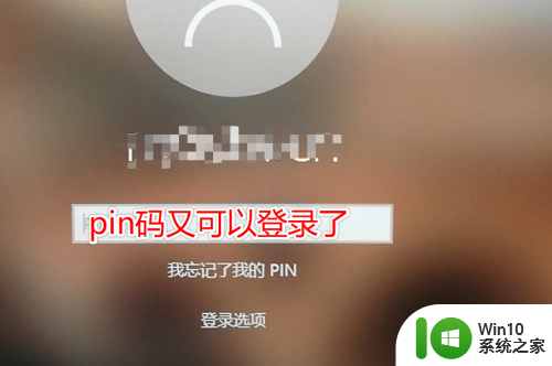 win10pin不可用的解决方法_win10登陆时pin不可用怎么办