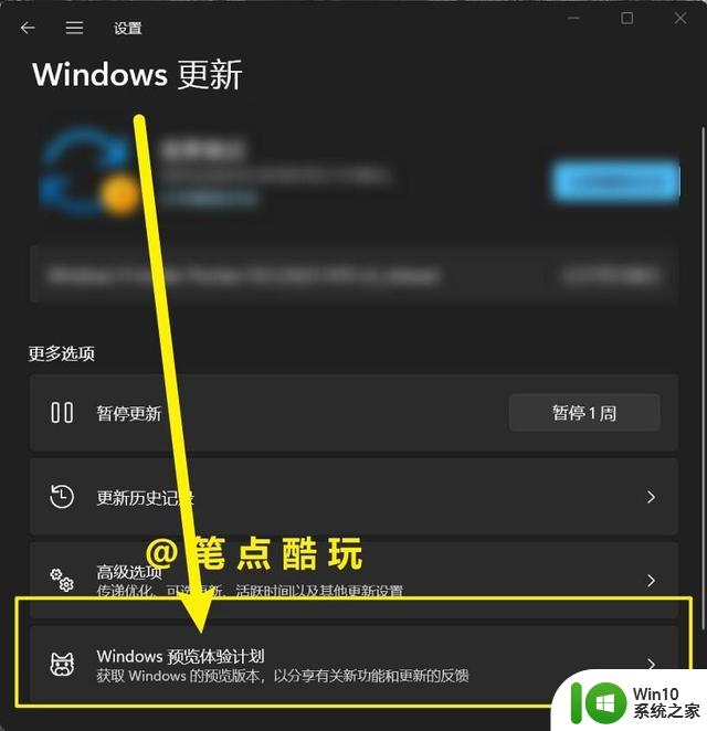 Windows11有bug别嫌弃，一文读懂如何升级win11预览版