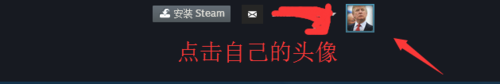 SteamURL在哪里看_steam个人资料的url在哪看