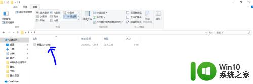 win10无法显示txt后缀怎么解决_win10txt文件后缀显示不了如何处理