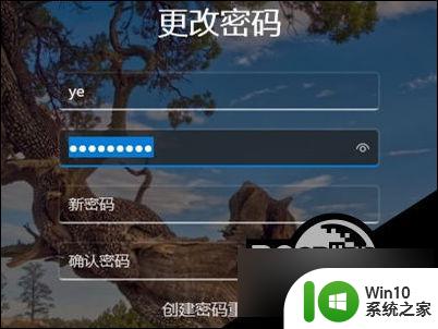 如何取消win11开机登录密码 Win11关闭密码登录的方法