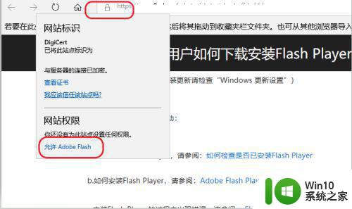 winds10已安装flash插件显示未安装怎么解决 Windows 10 flash插件安装失败怎么解决