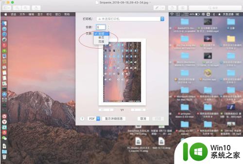 苹果电脑如何打印图片 Mac上的图片怎么打印