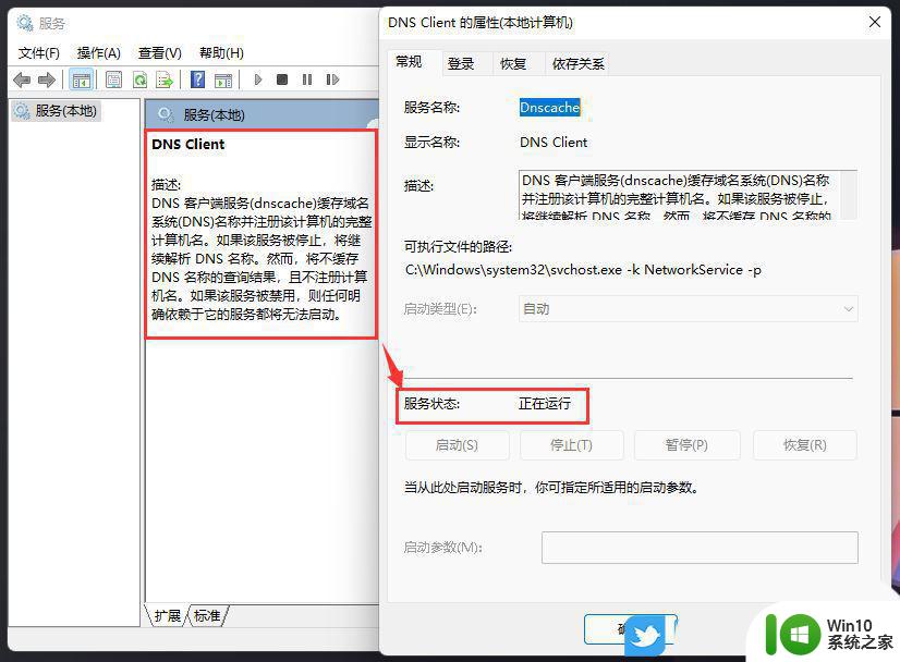 win11安装没有网络不能点下一步 Win11安装后无法上网怎么办