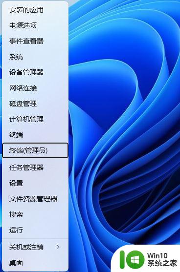 win11安装没有网络不能点下一步 Win11安装后无法上网怎么办