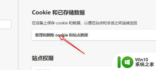 win10电脑浏览器支持并允许了cookie设置方法 win10电脑浏览器如何设置cookie