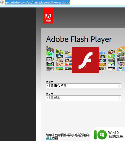 win10安装adobe flash player安装失败解决方法 win10 adobe flash player安装失败怎么办