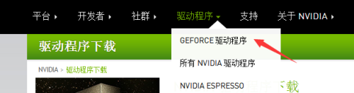 英伟达录像怎么打开 如何在NVIDIA显卡上开启录像功能