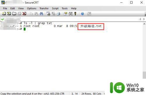 srcurecrt在win10添加中文选项怎么设置 在Win10系统中如何设置语言选项为中文