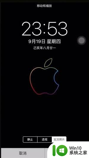 苹果11动态壁纸怎么设置 iPhone11如何使用自定义动态壁纸