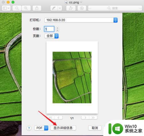 苹果mac系统如何打印图片 苹果电脑图片怎么打印