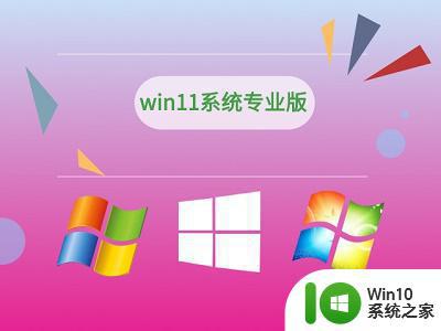 windows11家庭版和专业版区别详解 win11专业版和win11家庭版区别有哪些