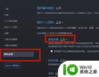 steam怎样隐藏自己在玩游戏 steam如何设置隐身模式