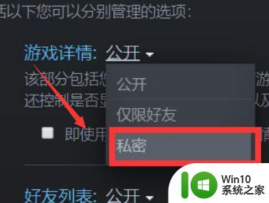 steam怎样隐藏自己在玩游戏 steam如何设置隐身模式