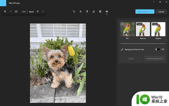 微软邀请用户测试Win11新版照片应用，一键抠图、替换背景等功能体验
