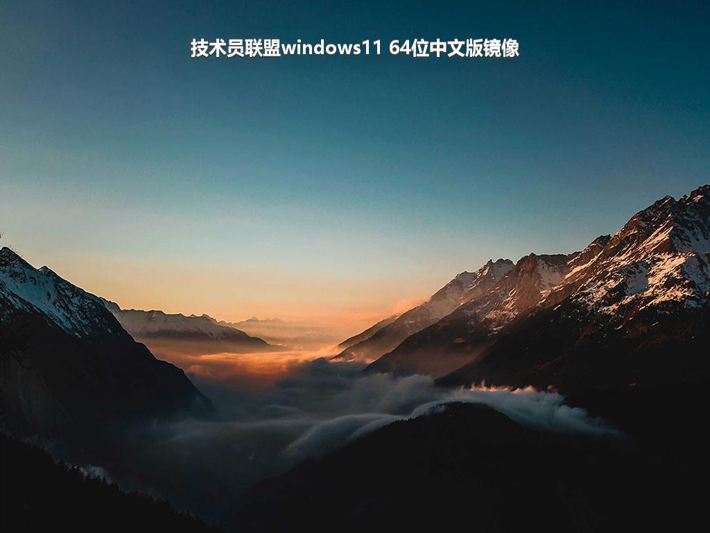 技术员联盟windows11 64位中文版镜像