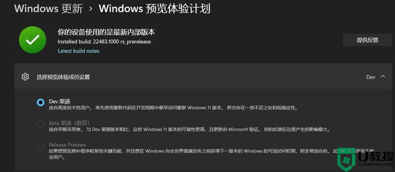 windows11 build 2023.01开发预览版iso镜像下载