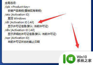 win11激活状态查询步骤 如何查看win11激活信息