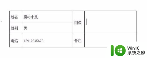 wps怎么导入照片 WPS中如何在表格中添加图片