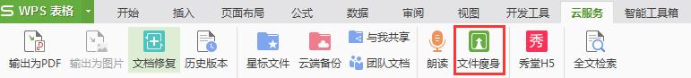 wps云服务里没有文件瘦身的功能 wps云服务中的文件瘦身功能介绍