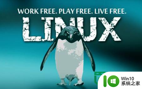 linux下使用u盘的方法 Linux下如何挂载U盘