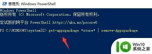 win10系统中microsoft store下载不了软件应用的解决教程 win10系统Microsoft Store无法下载应用解决方法