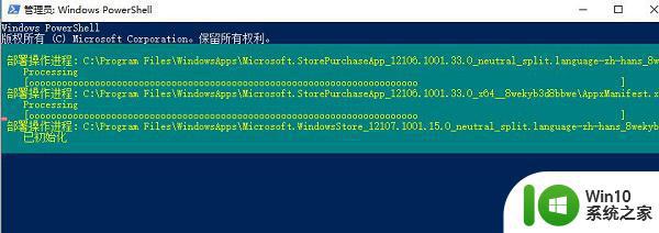 win10系统中microsoft store下载不了软件应用的解决教程 win10系统Microsoft Store无法下载应用解决方法